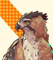commissions-image