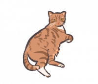 commissions-image