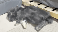 commissions-image