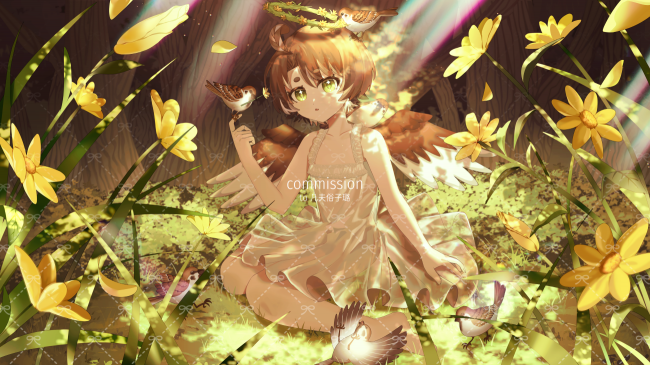 commission-cover