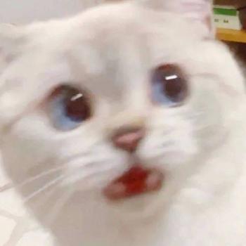 委託封面