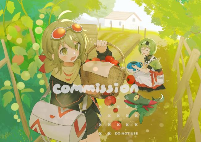commission-cover