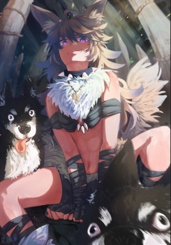 commission-cover