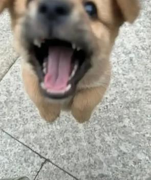 委託封面