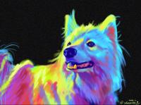 commissions-image
