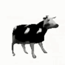 創作者